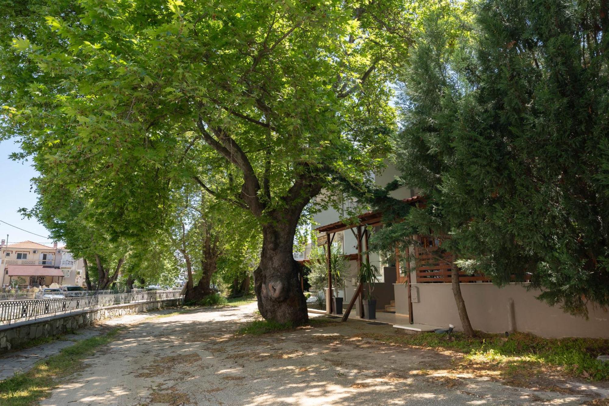 Kipos Resort Nea Peramos  Exterior photo