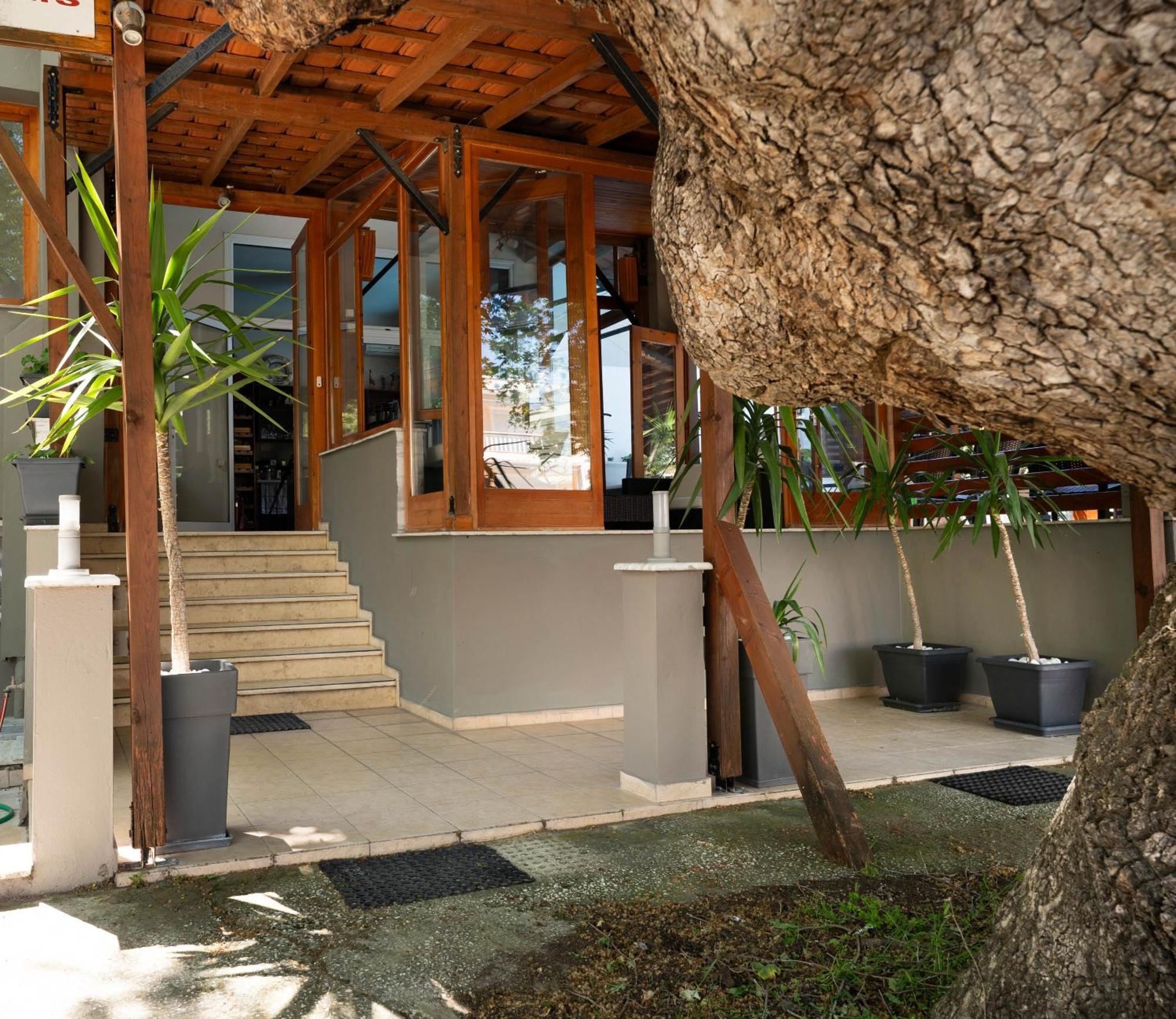 Kipos Resort Nea Peramos  Exterior photo